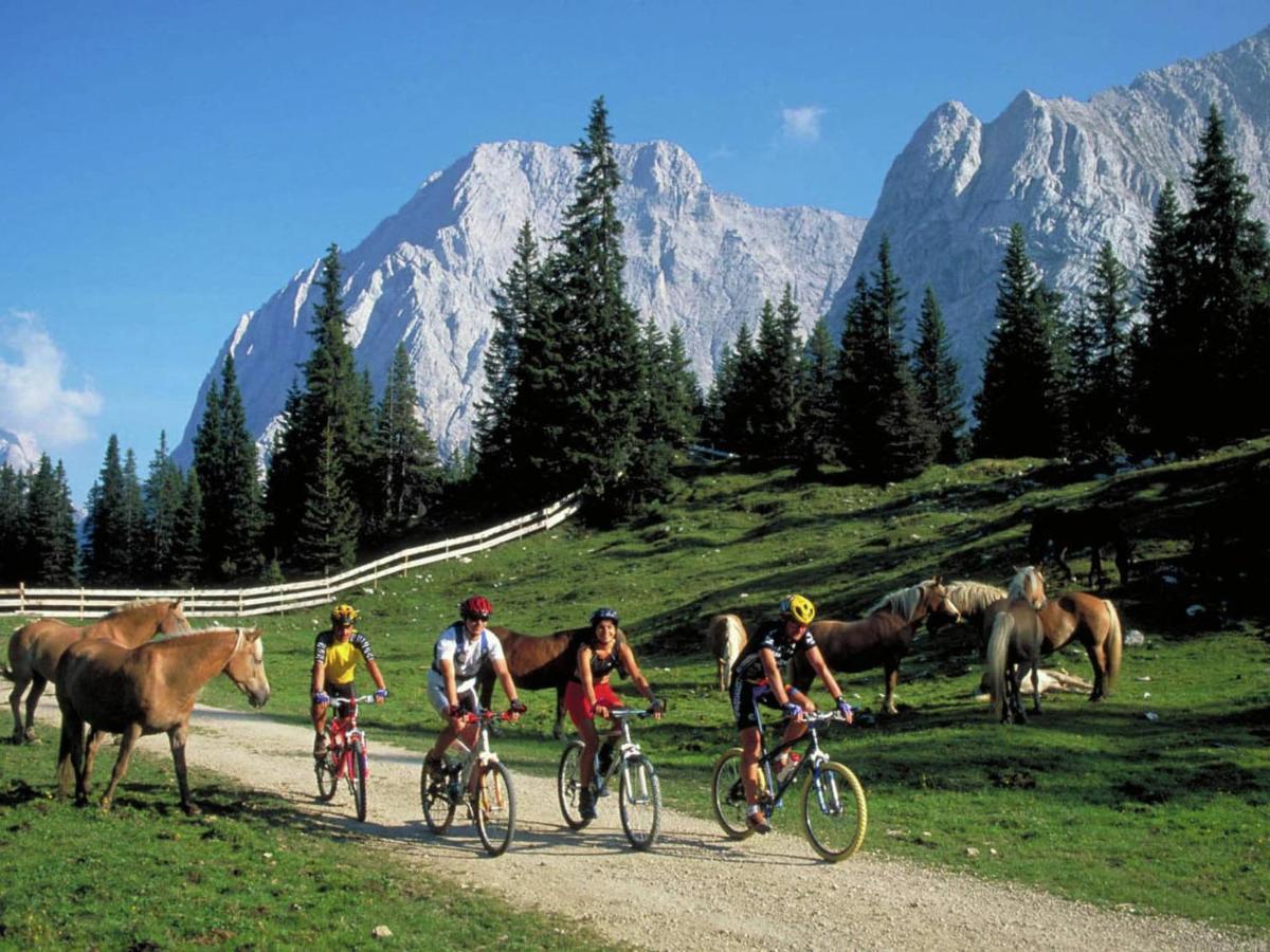 Apartment In W Ngle Tyrol With Walking Trails Near Reutte Dış mekan fotoğraf