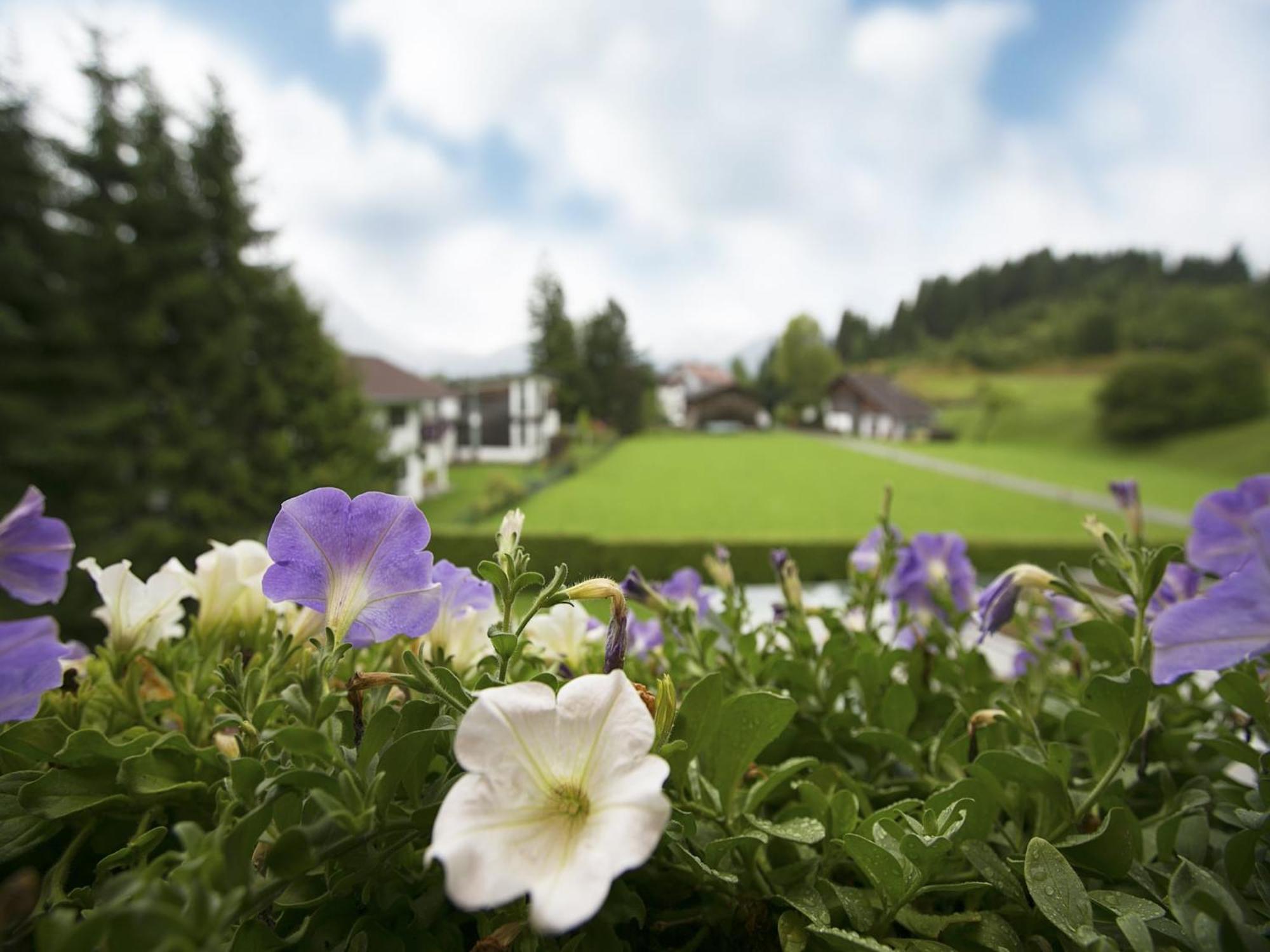 Apartment In W Ngle Tyrol With Walking Trails Near Reutte Dış mekan fotoğraf