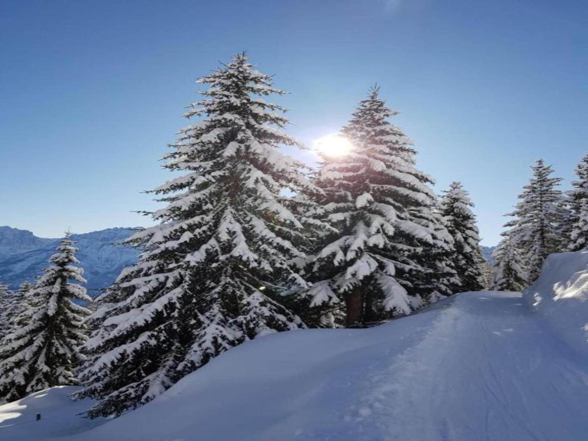Apartment In W Ngle Tyrol With Walking Trails Near Reutte Dış mekan fotoğraf