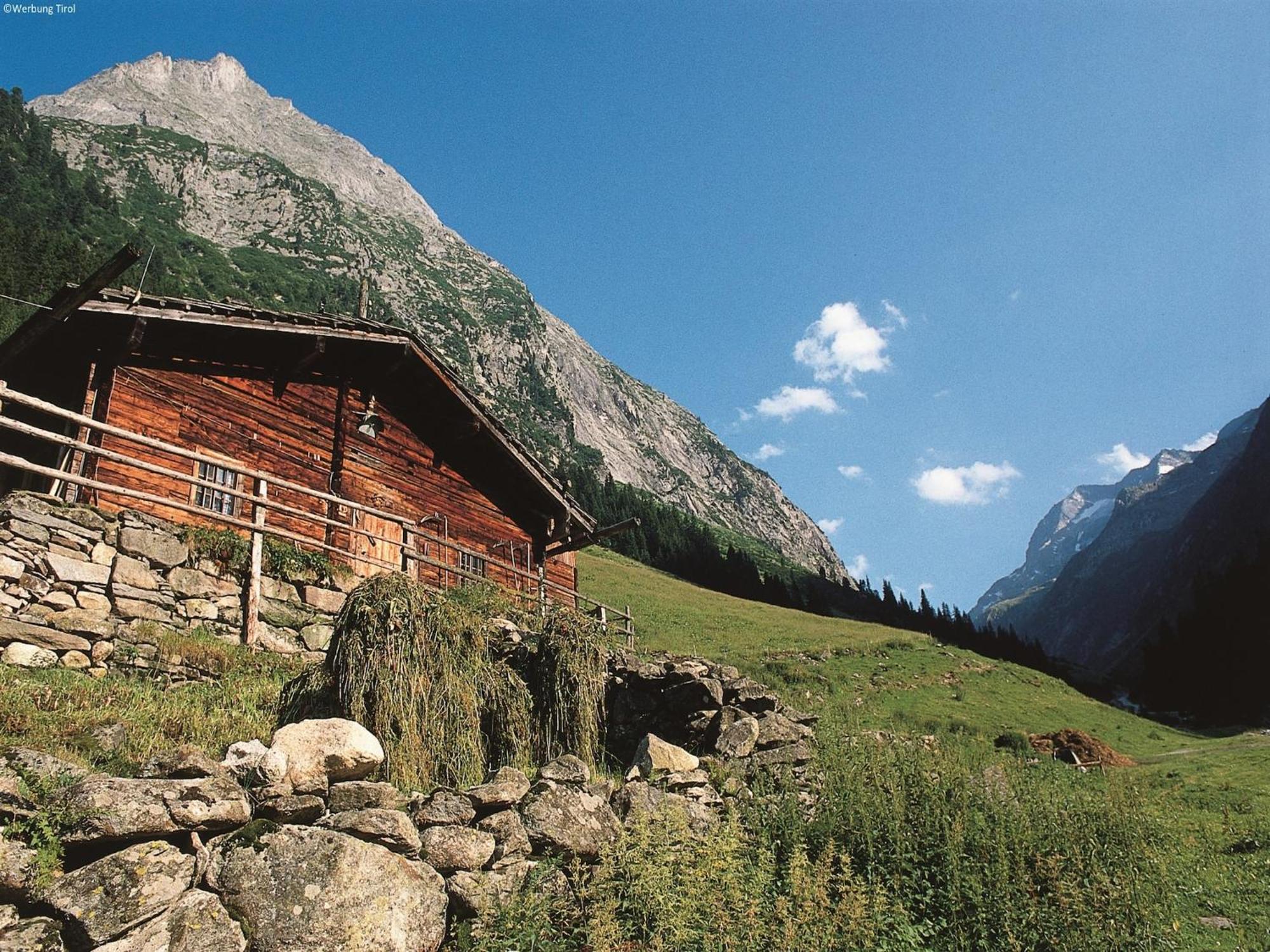 Apartment In W Ngle Tyrol With Walking Trails Near Reutte Dış mekan fotoğraf