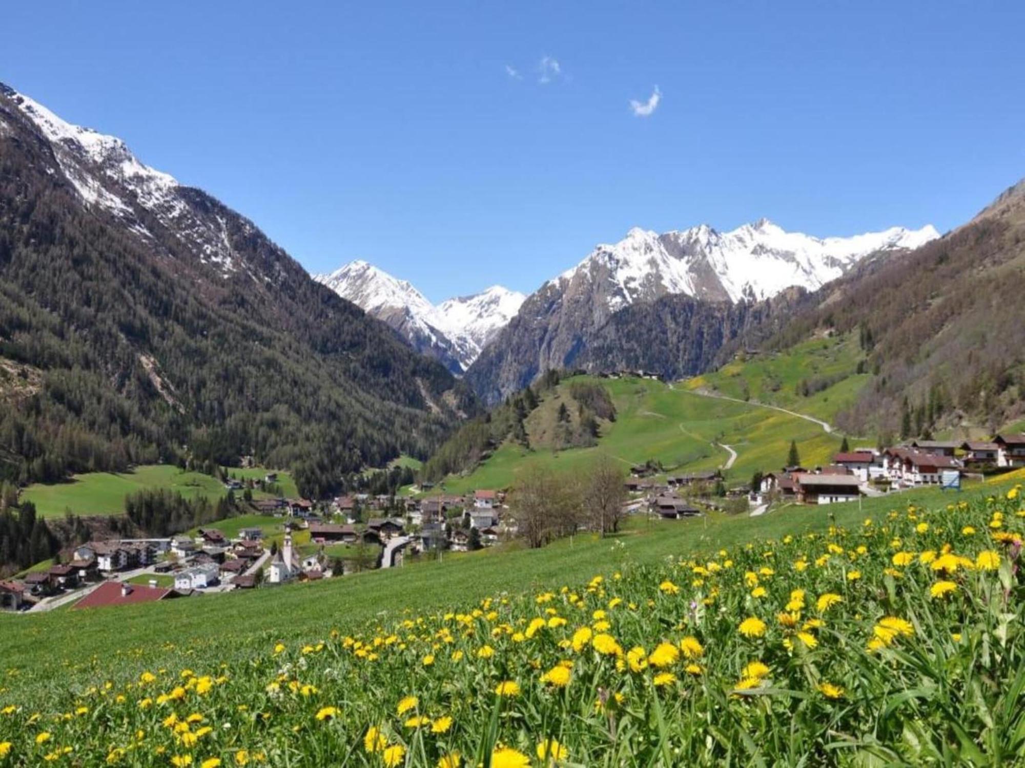 Apartment In W Ngle Tyrol With Walking Trails Near Reutte Dış mekan fotoğraf