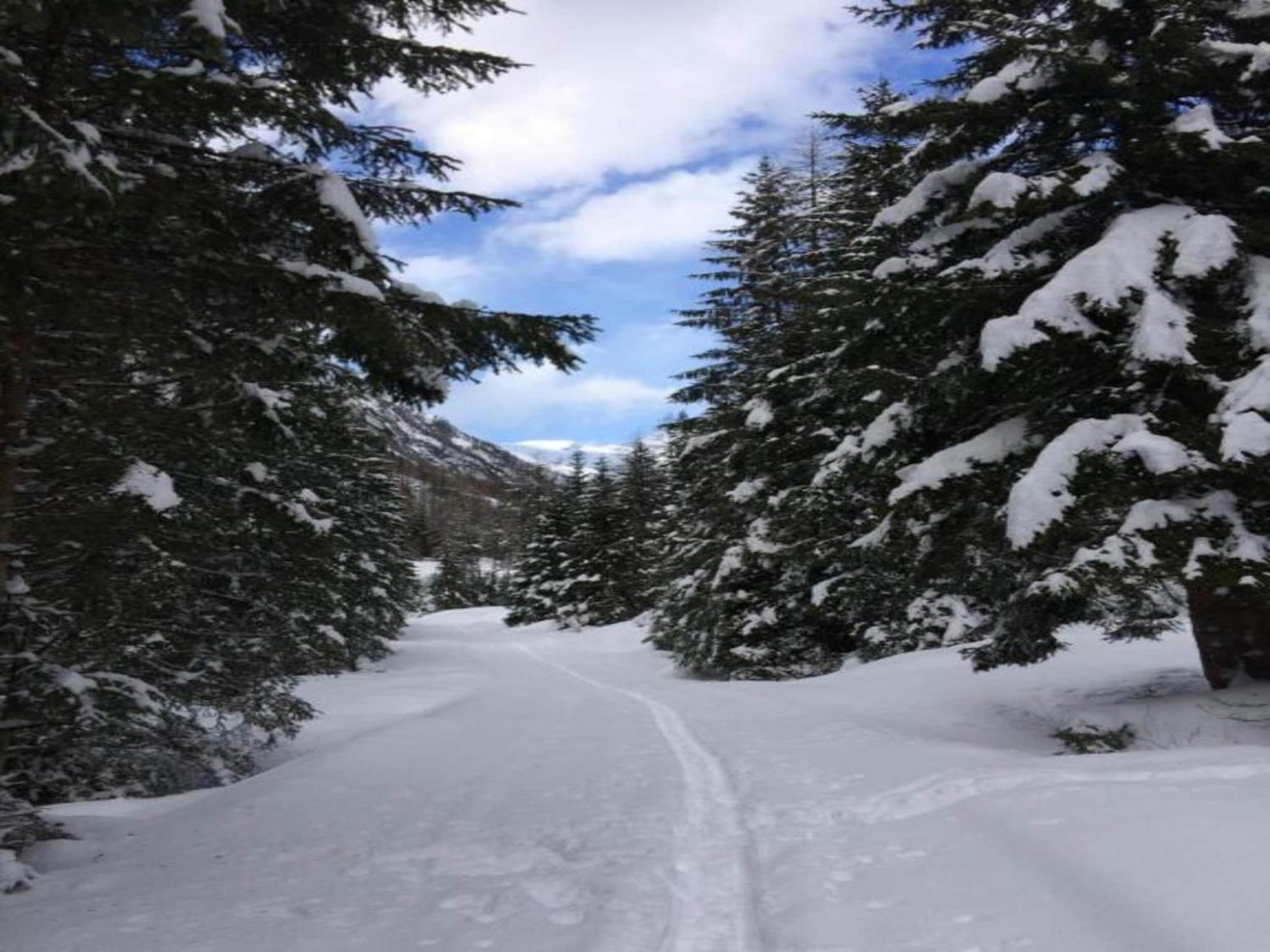 Apartment In W Ngle Tyrol With Walking Trails Near Reutte Dış mekan fotoğraf
